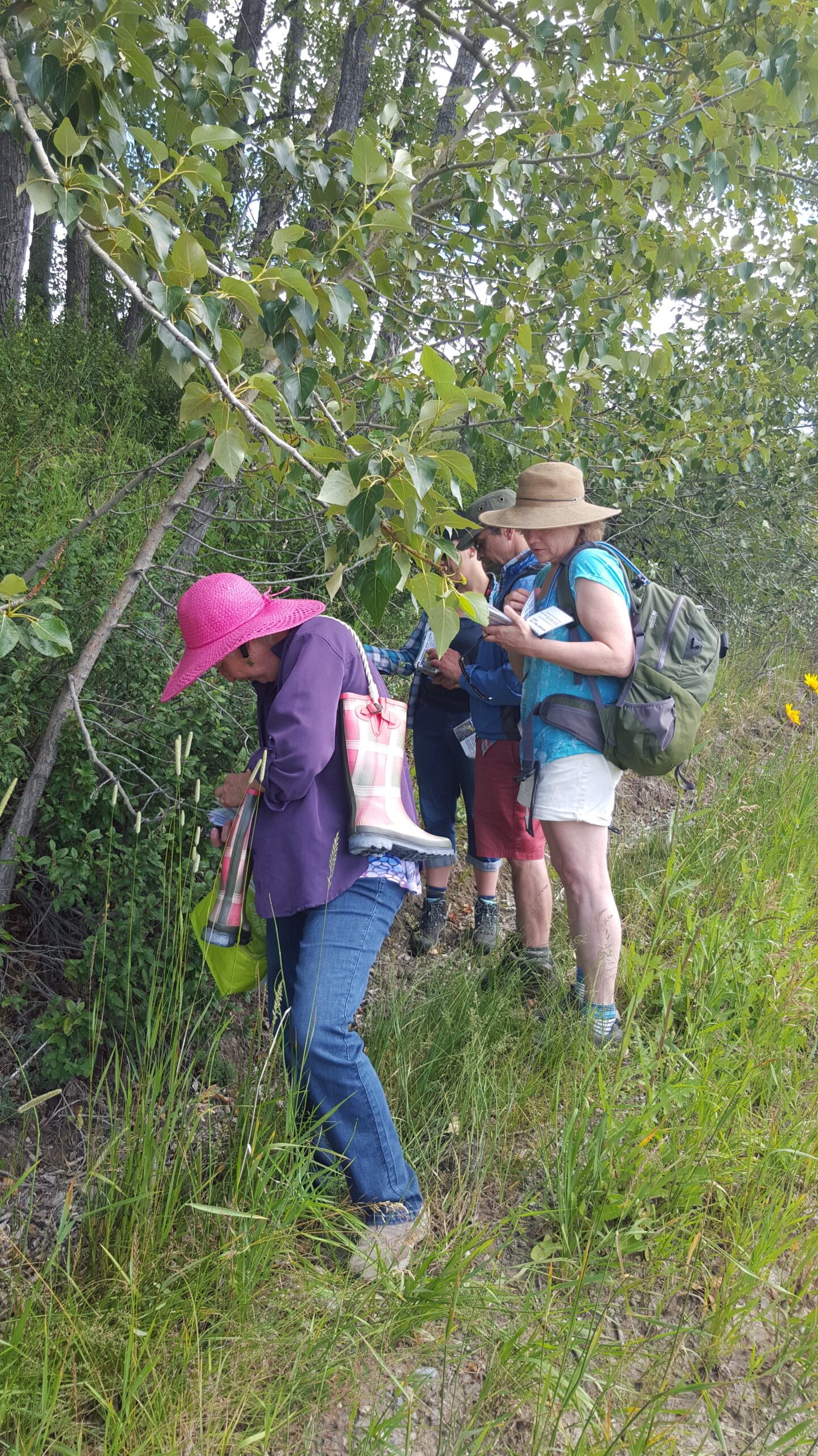Guided Nature Tour
