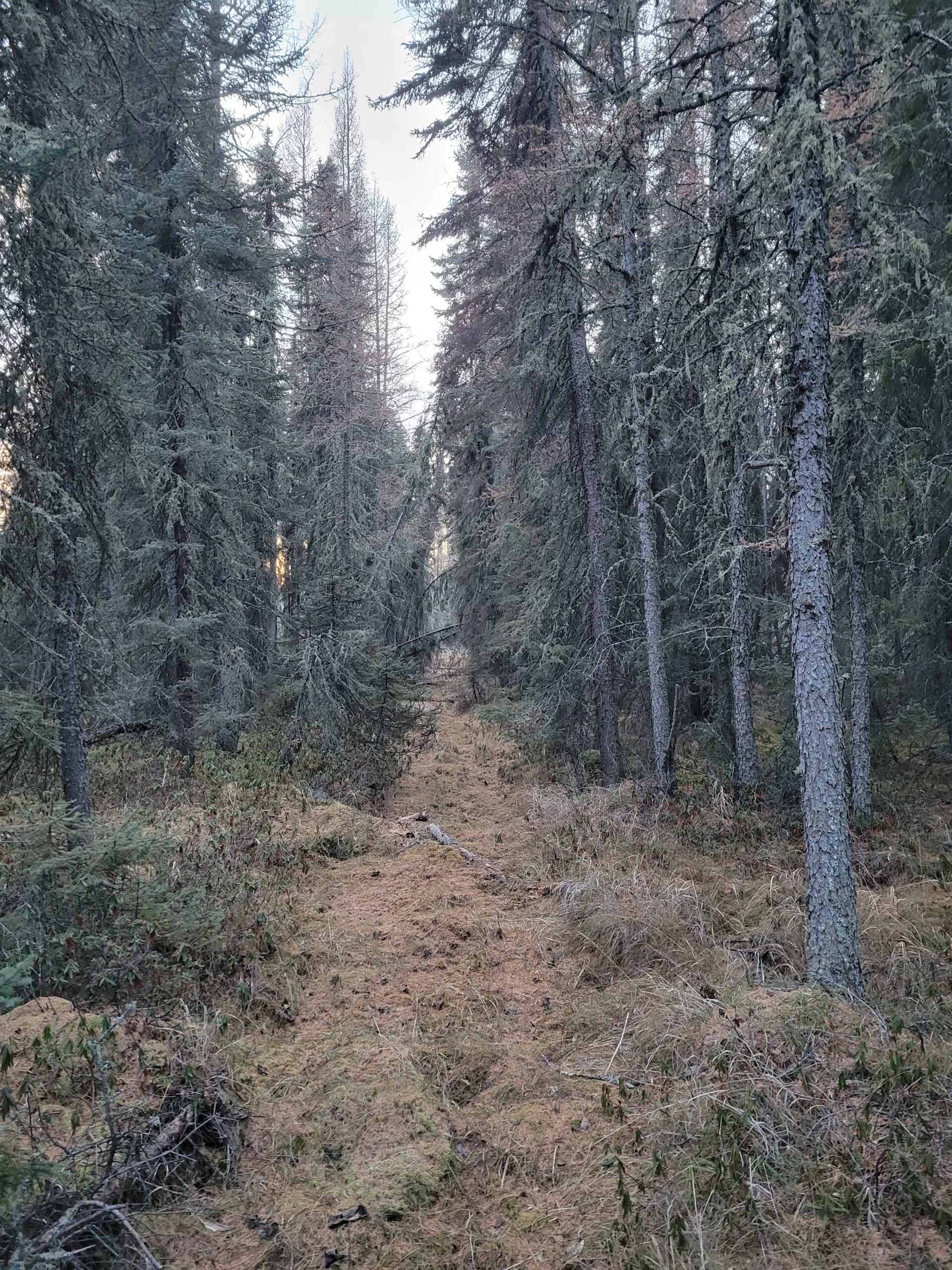 Guided Nature Tour - Image 8