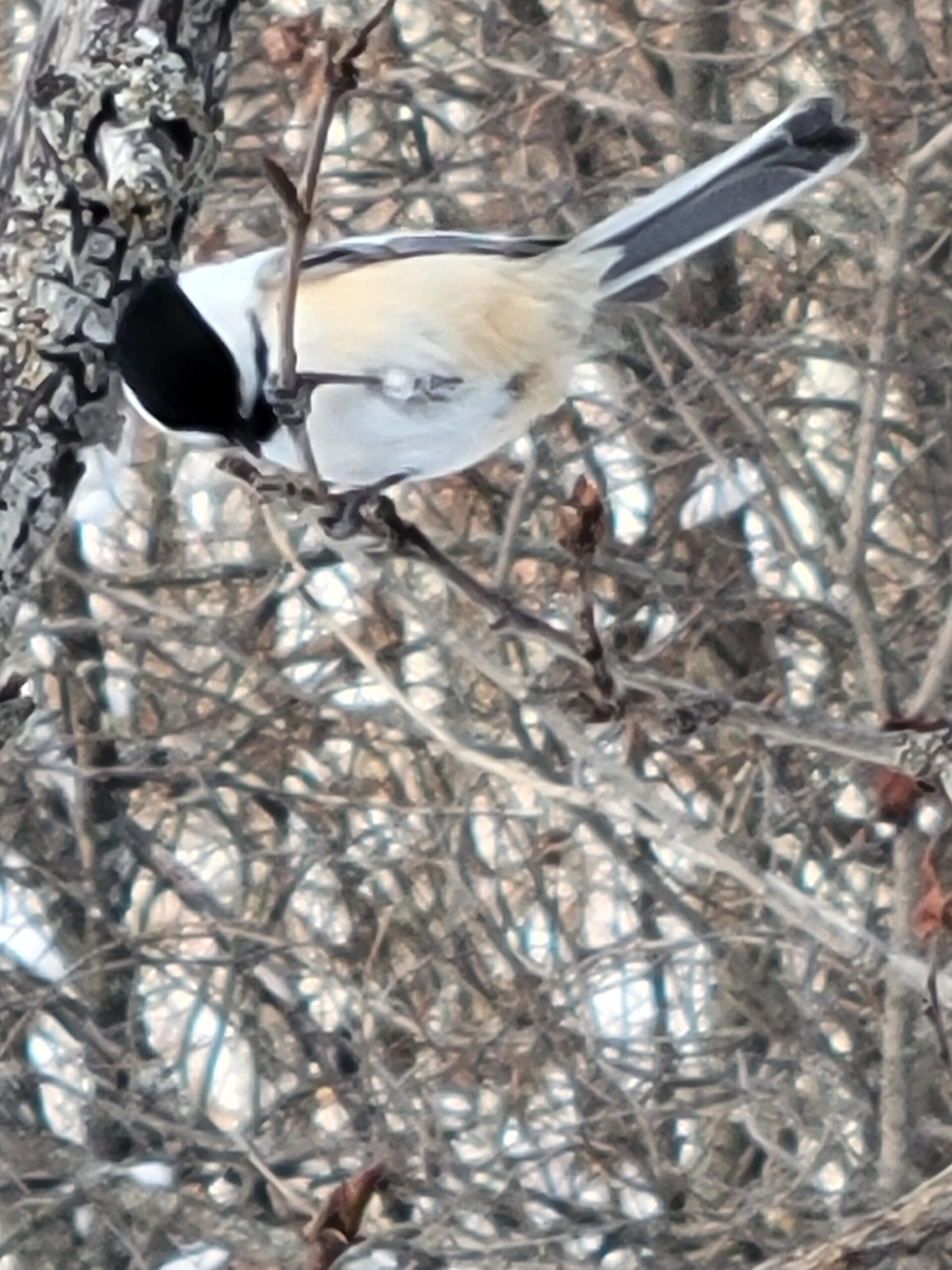 Guided Nature Tour