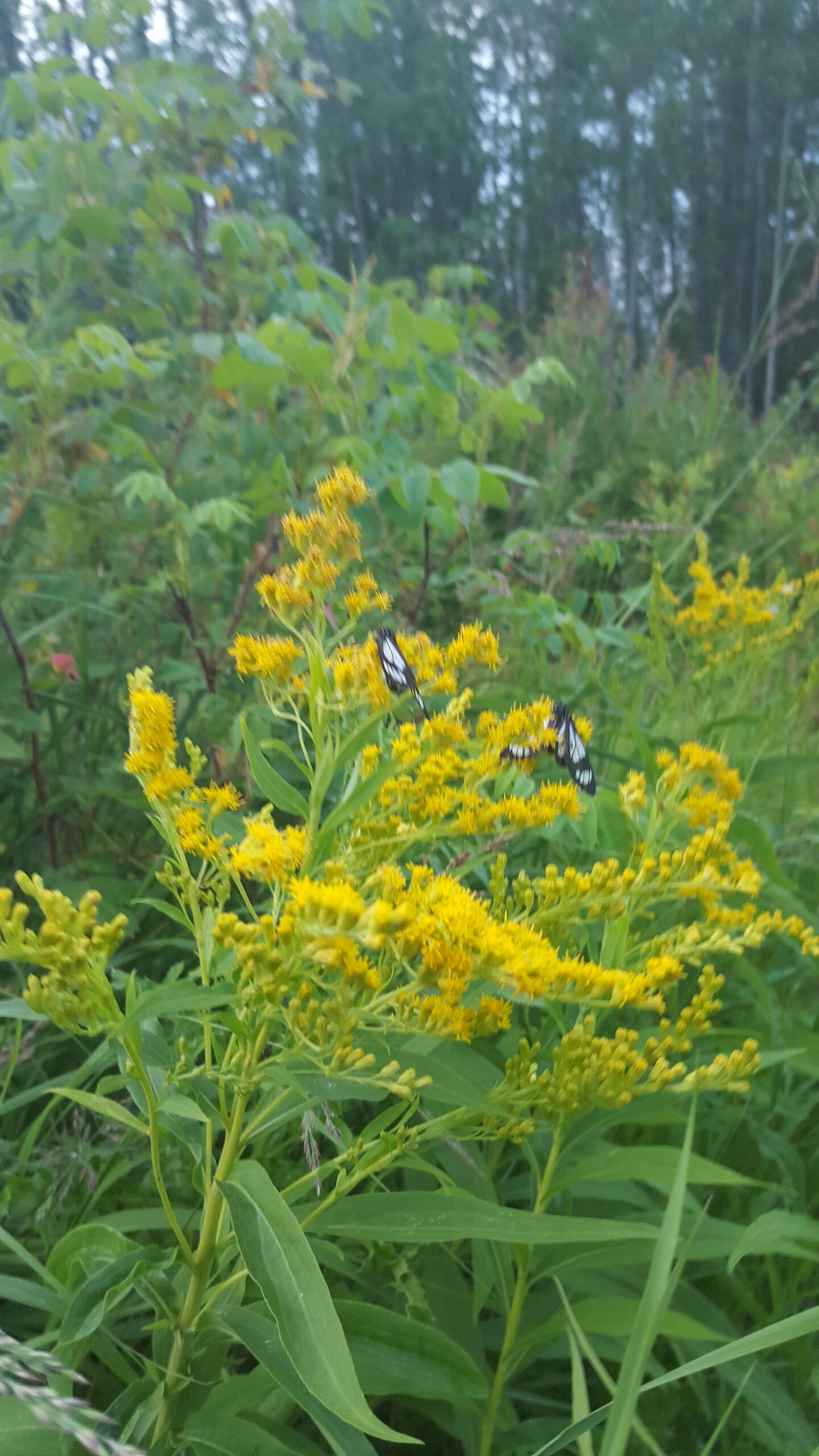 Guided Nature Tour - Image 2