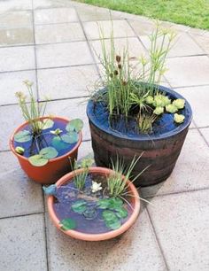 Puddle Gardens Workshop
