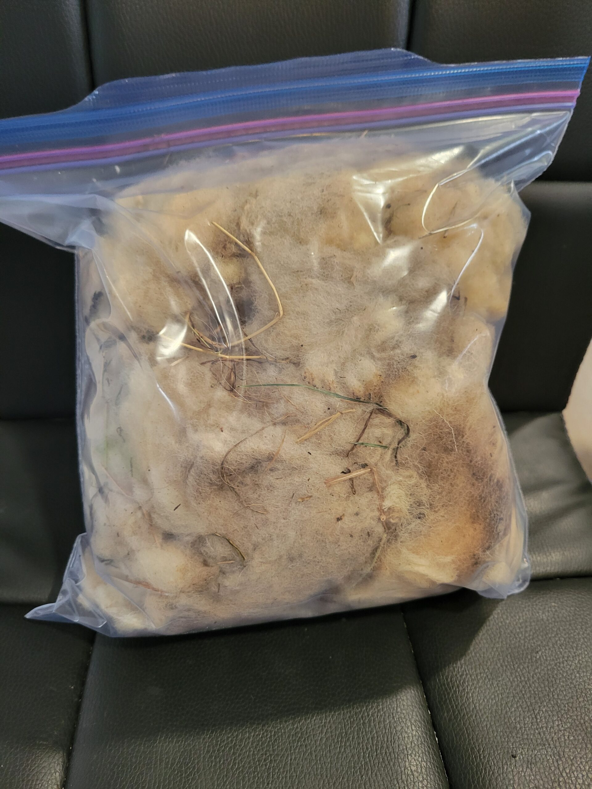 Raw Wiltshire Horn Wool